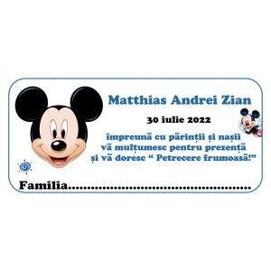 Plic de Bani Botez Mickey Mouse 8