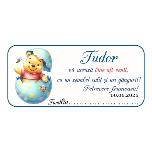 Plic de bani Botez Winnie The Pooh 10