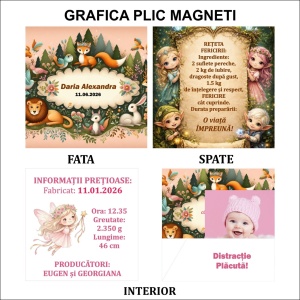 Magnet cu Plic Poveste 13