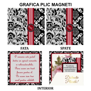 Magnet cu Plic Poveste Royal