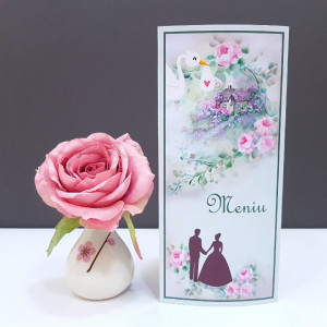 Meniu 2 in 1 Nunta-Botez NB10