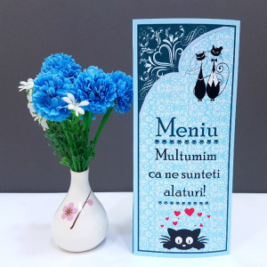 Meniu 2 in 1 Nunta-Botez NB6