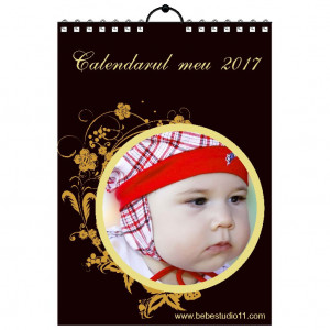 Calendar de perete Silver MOD 38