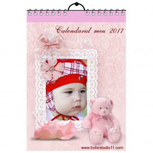 Calendar de perete Silver MOD 48