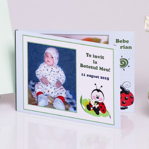 Invitatie Botez Dubla Buburuz 2 - Img 2