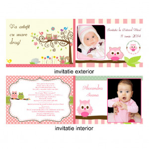 Invitatie Botez Dubla Bufnita Roz