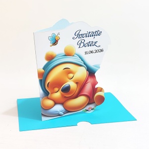 Invitatii Botez Contur Winnie 11