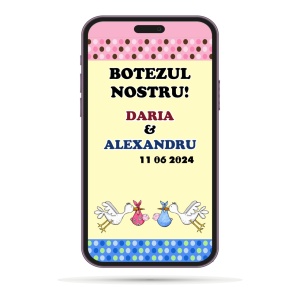 Invitatii Electronice Botez Gemeni - 2 Bebelusi