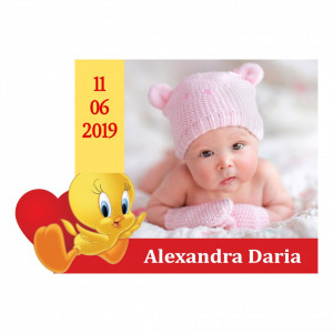 Magnet Contur Tweety 1
