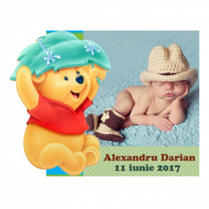 Magnet Contur Winnie the Pooh