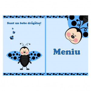 Meniu Botez Simplu Buburuza 3