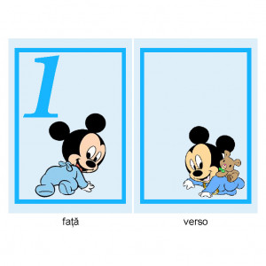 Nr de Masa Botez Mickey Mouse 11