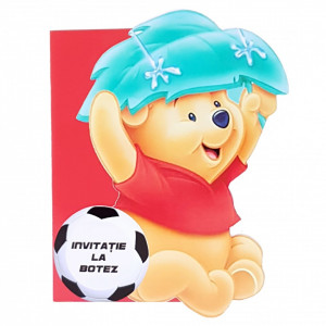 Invitatii Botez Contur Winnie 4