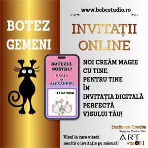 Invitatii Electronice Botez Gemeni - 2 Bebelusi2 - Img 6