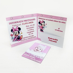Magnet cu Plic Poveste 23 - Img 4
