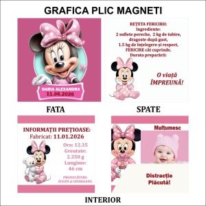 Magnet cu Plic Poveste 6