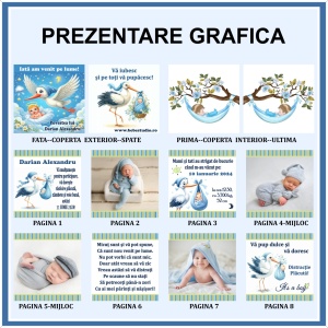 Marturie Carticica Barza/Bebe 1