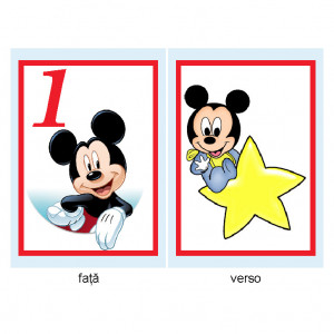 Nr de Masa Botez Mickey Mouse 12