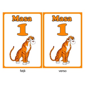 Nr de Masa Botez Tigger