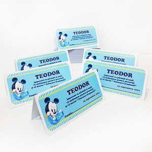 Plic Botez Mickey Mouse - Img 2