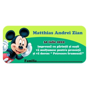 Plic de Bani Botez Mickey Mouse 9