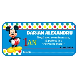 Plic Mot Mickey Mouse 2