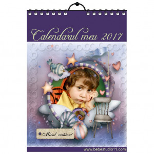 Calendar de perete Silver MOD 39