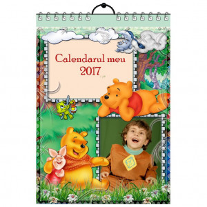 Calendar de perete Silver MOD 44