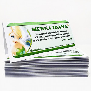 Plic Botez Tinkerbell 4