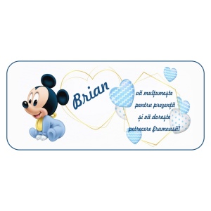 Plic de Bani Botez Mickey Mouse 6
