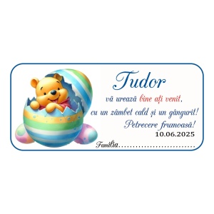 Plic de bani Botez Winnie The Pooh 11