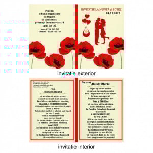 Invitatie 2 in 1 Nunta-Botez Dublu 3