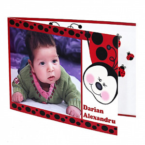 Invitatie Botez Dubla Buburuz