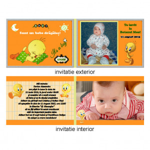 Invitatie Botez Dubla Tweety - Img 3