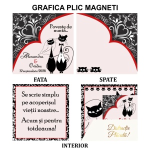 Magnet cu Plic Poveste Pisici Red