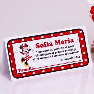 Plic Botez Minnie Mouse 2 - Img 3