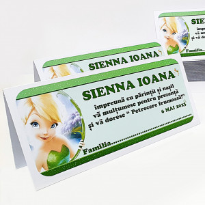 Plic Botez Tinkerbell 4 - Img 3