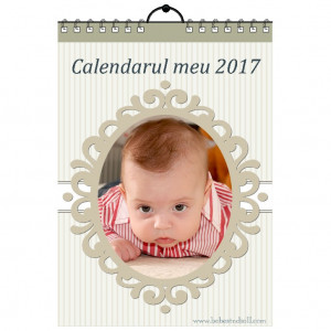 Calendar de perete Silver MOD 22