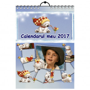 Calendar de perete Silver MOD 35