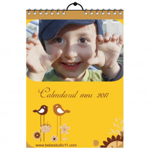 Calendar de perete Silver MOD 40