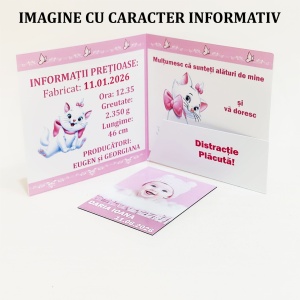 Magnet cu Plic Poveste 22 - Img 6