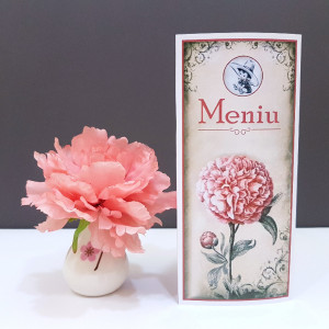 Meniu 2 in 1 Nunta-Botez NB9