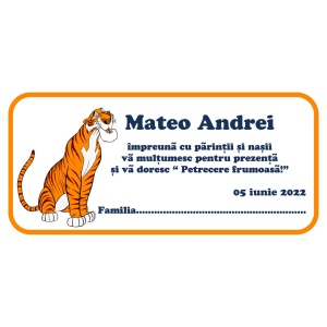 Plic de Bani Botez Tigger