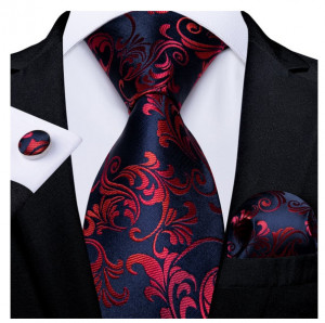 set cravata matase + batista + butoni