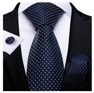set cravata matase + batista + butoni