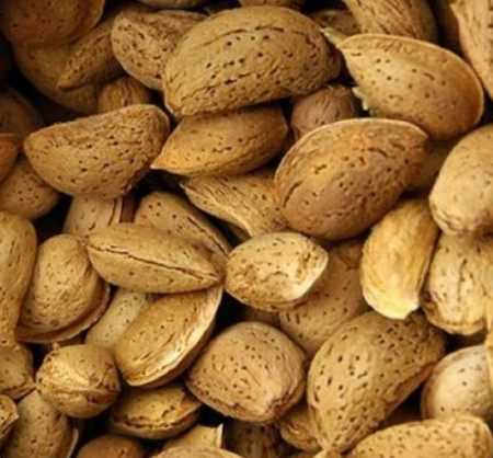 Amêndoa de casca rija (facil de partir) Trás os Montes (1Kg)