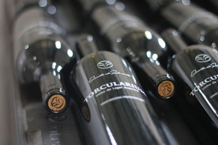 Vinho de Lagar Rupestre Tinto TORCULARIUM 75cl Quinta do Salvante - Img 2