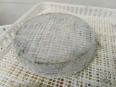 Queijo Vaca Azul tradicional cura de 6 semanas - Img 3