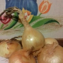 Cebola de Trás-Os-Montes (preço por 1Kg)