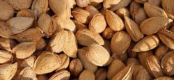 Amêndoa de casca rija Trás os Montes (1Kg)